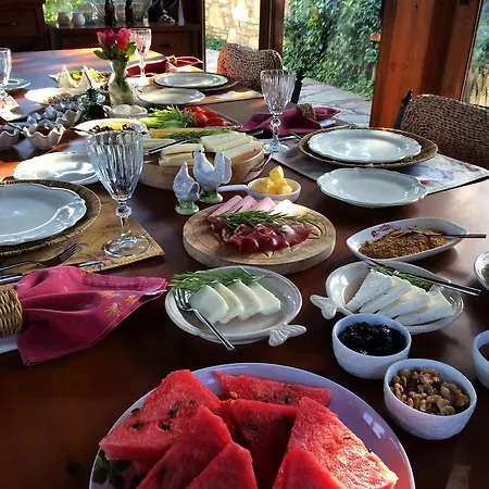 Kamarca House מלון *