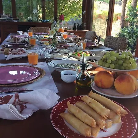 Kamarca House דליאן