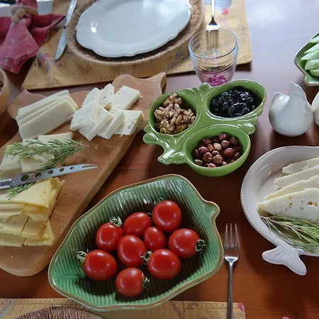 Kamarca House מלון
