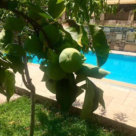מלון Kamarca House דליאן