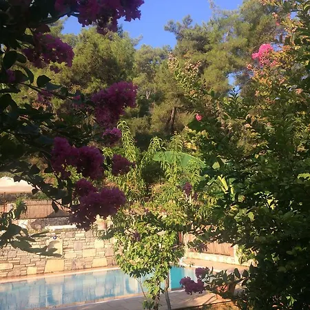 Kamarca House מלון *