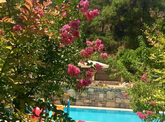 Kamarca House Hotel *