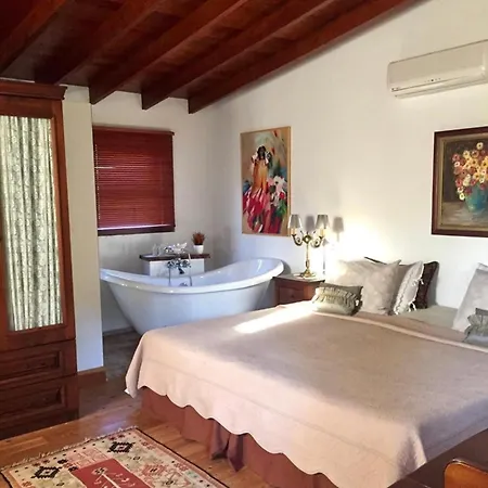 Hotel Kamarca House Dalyan