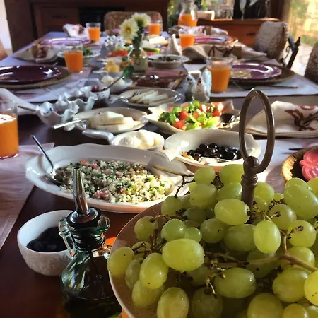 Ξενοδοχείο Kamarca House Dalyan