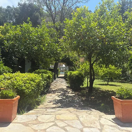 Kamarca House * Dalyan
