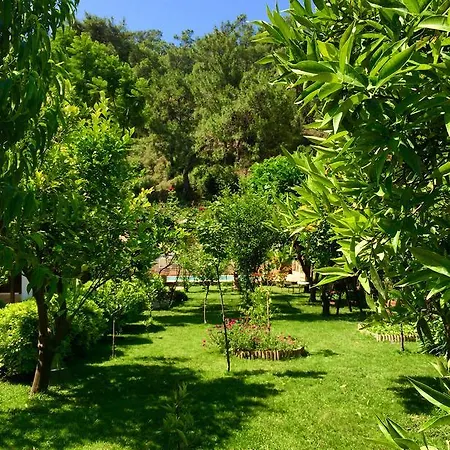 Ξενοδοχείο Kamarca House