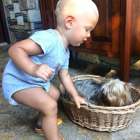 Kamarca House Ξενοδοχείο *