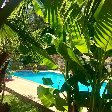 Kamarca House * Dalyan