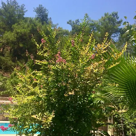 Kamarca House Ξενοδοχείο