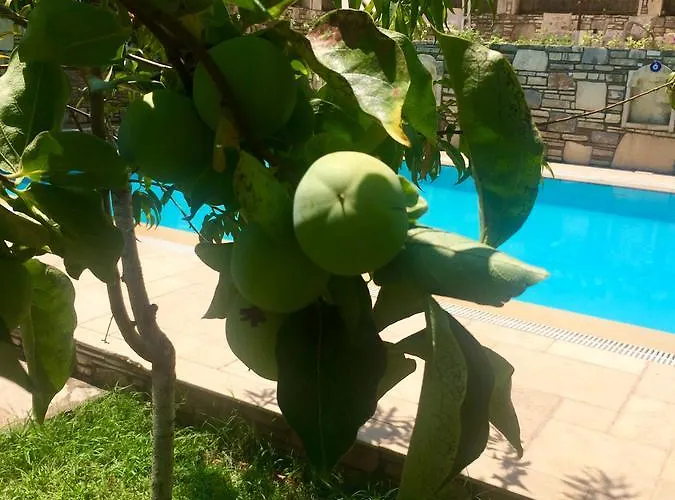 Hotel Kamarca House Dalyan