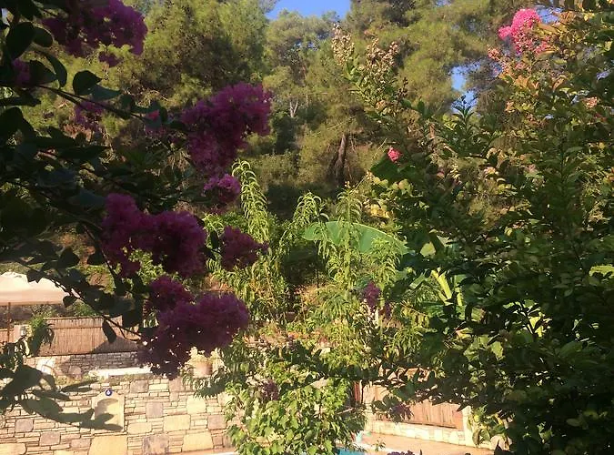 Kamarca House Hotel *